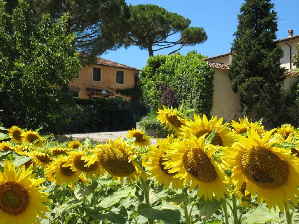 Agriturismo Buon Riposo - Country Resort In The Heart Of Tuscany San Giovanni a Corazzano Exterior photo